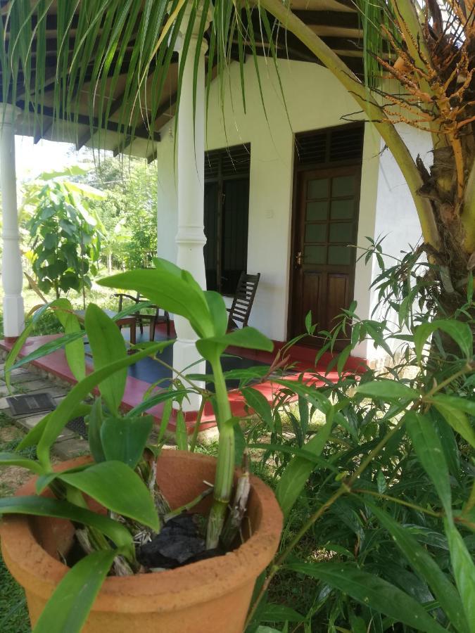 Bay Hill Guest House Tangalle Exterior foto